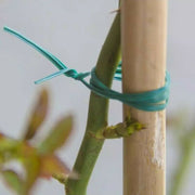 Easy CUT Plant Twist Tie Support Wire With Cutter Reusable Garden Soft Flexible
